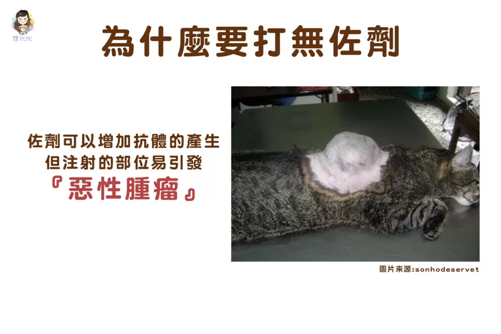 為什麼要打無佐劑