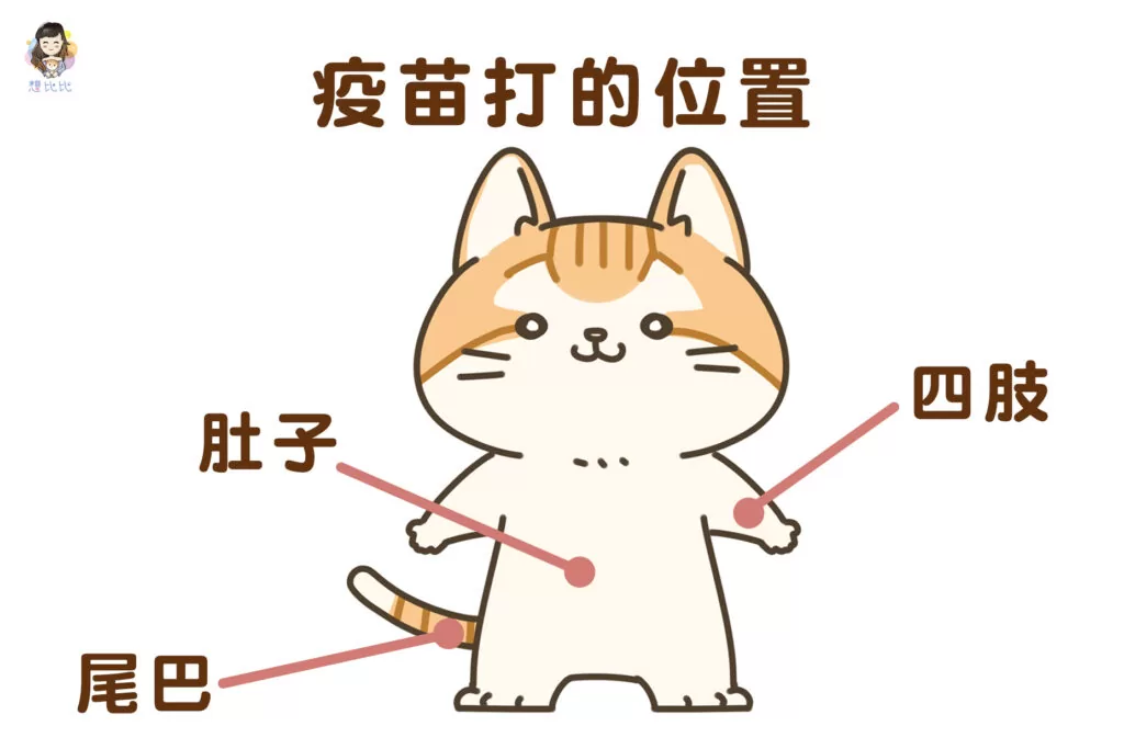 疫苗打的位置