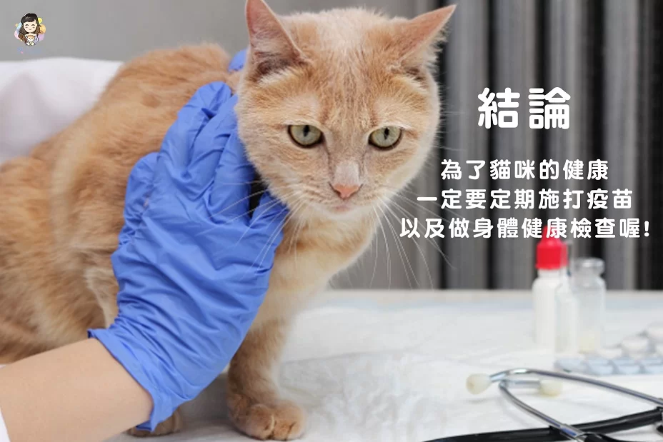 為了貓咪的健康，一定要定期施打疫苗以及做身體健康檢查喔!