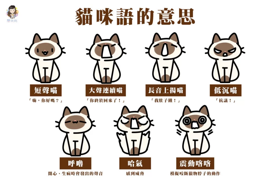貓咪語的意思