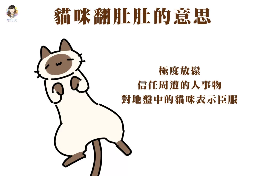貓咪翻肚肚的意思