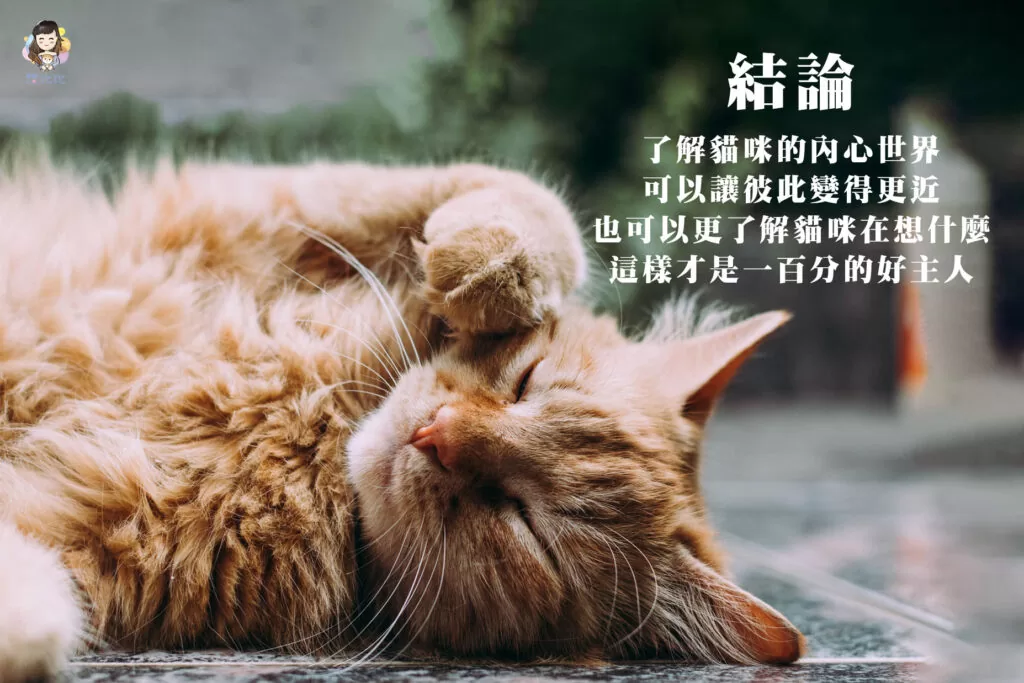 了解貓咪的內心世界可以讓彼此變得更近，也可以更了解貓咪在想什麼!這樣才是一百分的好主人!