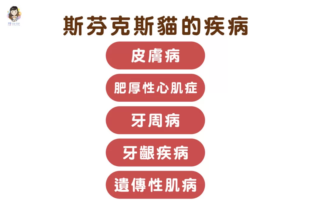 斯芬克斯貓的疾病