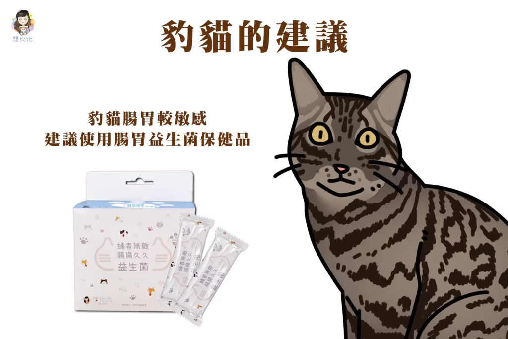 豹貓的建議,豹貓腸胃較敏感建議使用腸胃益生菌保健品