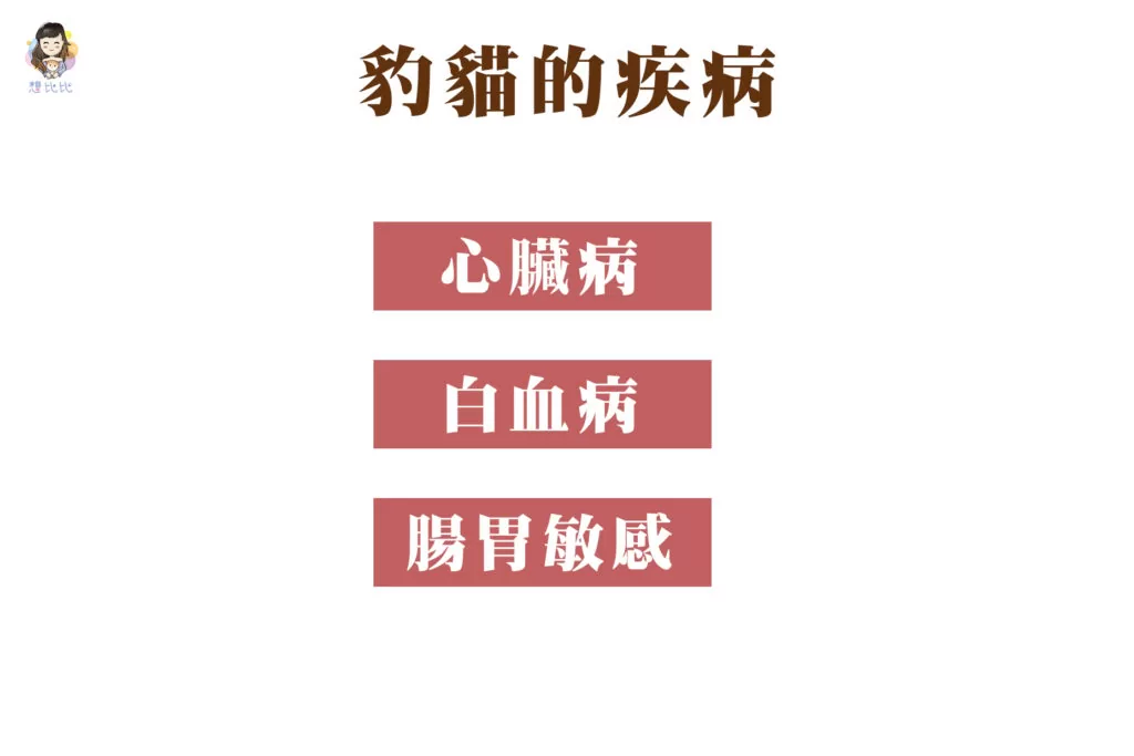 豹貓的疾病
心臟病
白血病
腸胃敏感