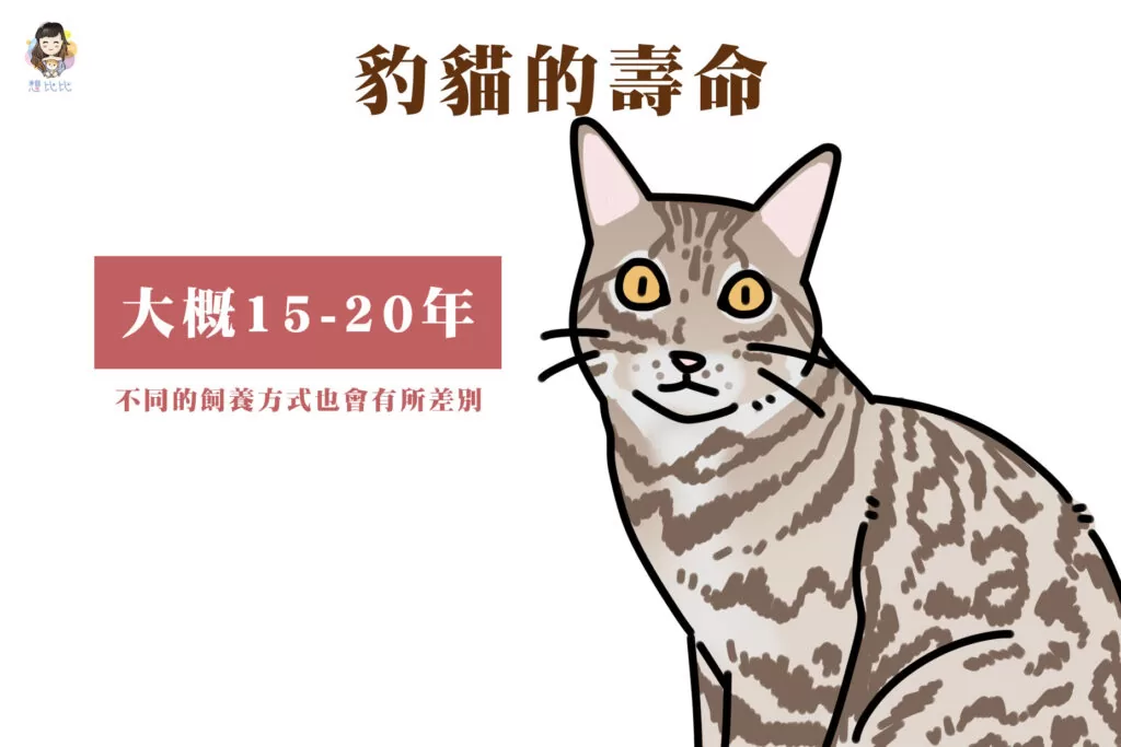 豹貓的壽命大概15-20年,不同的飼養方式也會有所差別