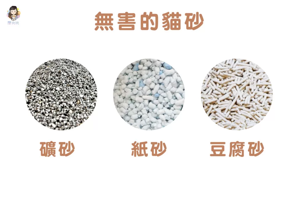 無害的貓砂:礦砂、紙砂、豆腐砂