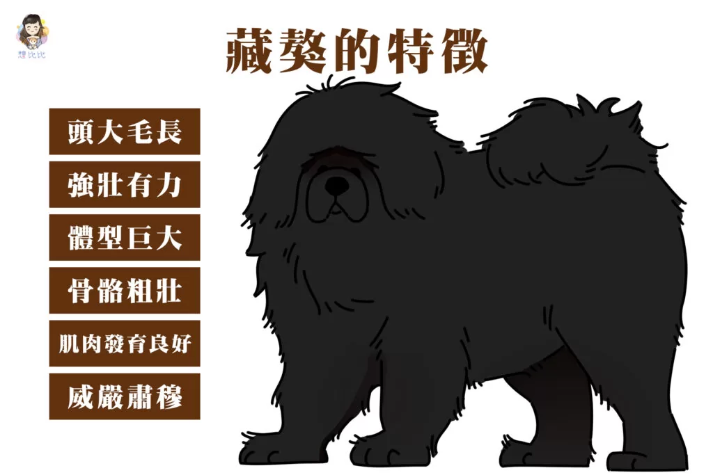 藏獒的特徵
頭大毛長
強壯有力
體型巨大
骨骼粗壯
肌肉發育良好
威嚴肅穆