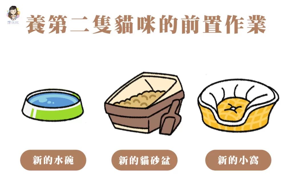 養第二隻貓的前置作業