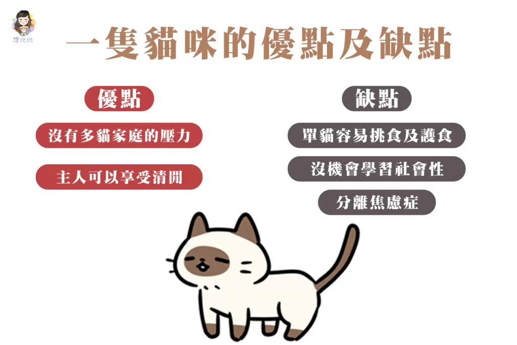 一隻貓咪的優點及缺點