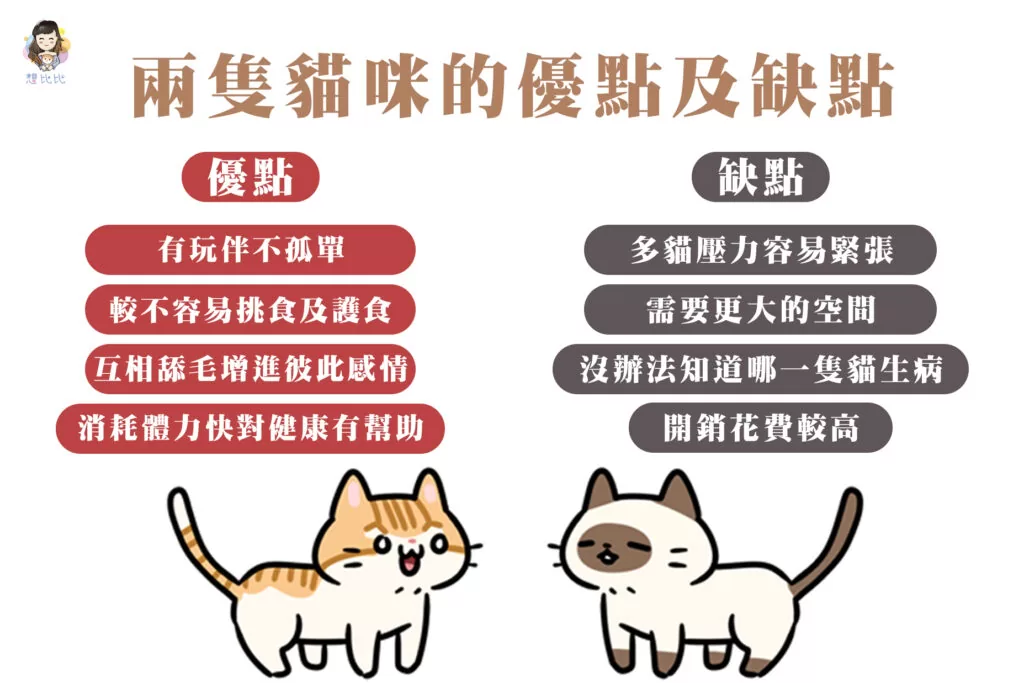 兩隻貓咪的優點及缺點