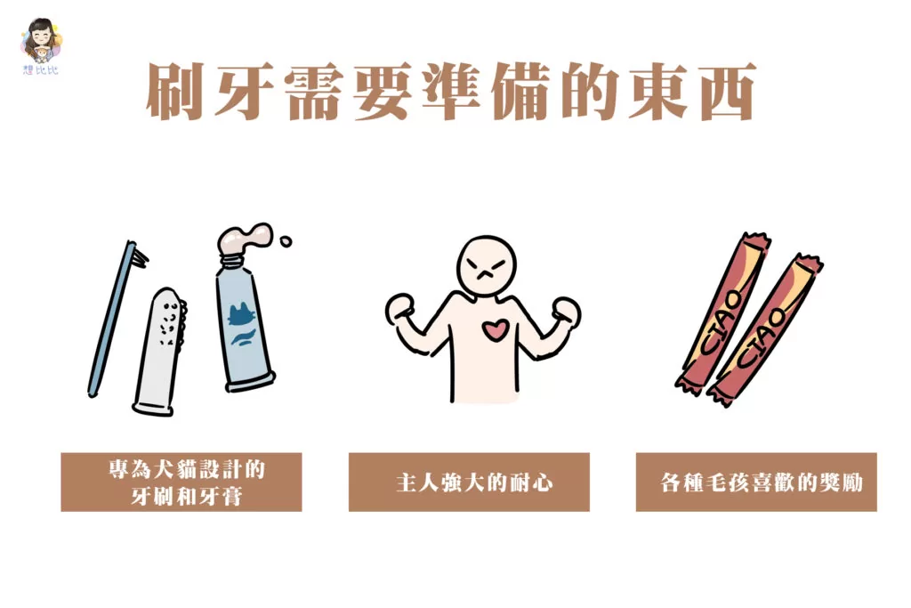 刷牙需要準備的東西