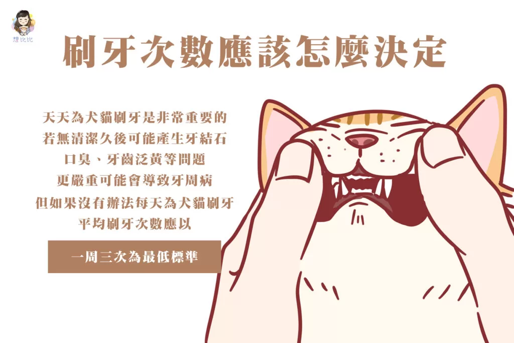 刷牙次數應該怎麼決定