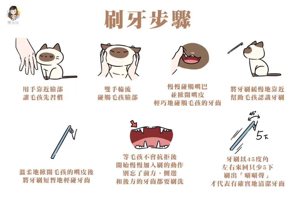 刷牙步驟