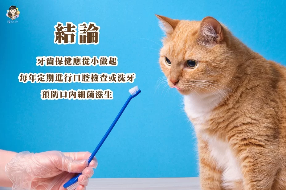 牙齒保健應從小做起,每年定期進行口腔檢查或洗牙預防口內細菌滋生